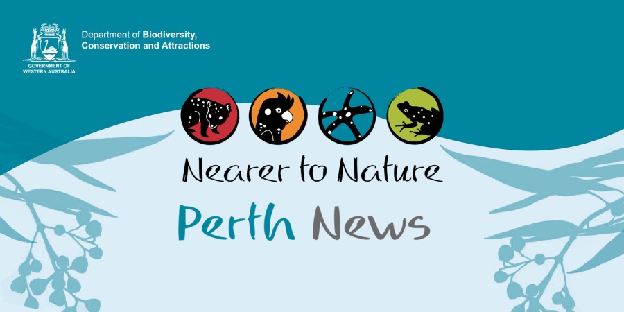 Nearer to Nature Perth news graphic
