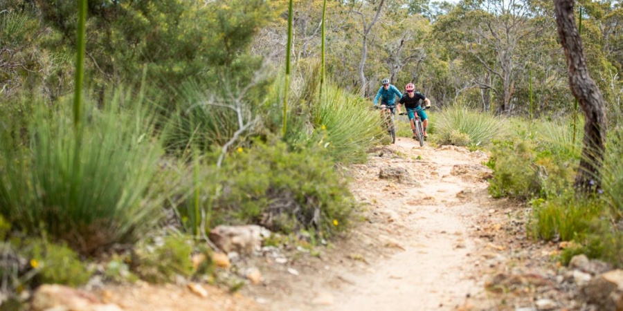 Mountain biking - Photo Tim Bardsley-Smith