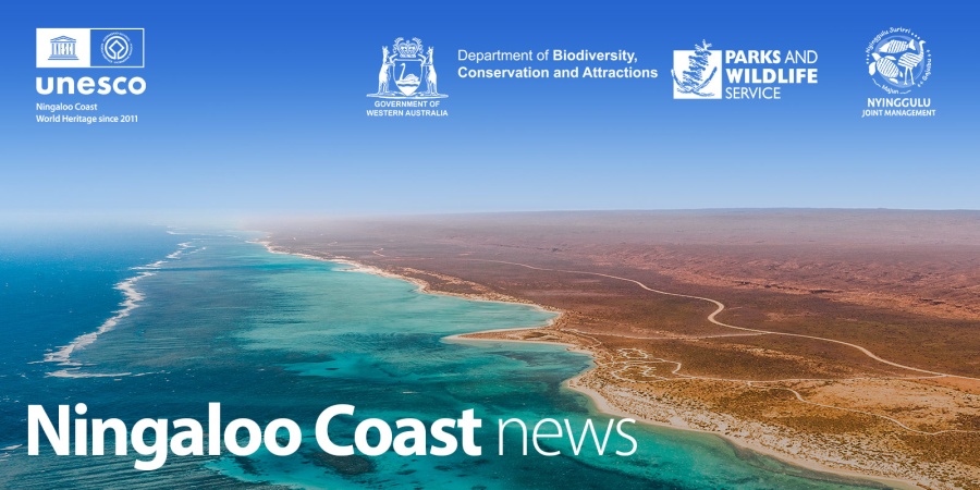 Ningaloo Coast News