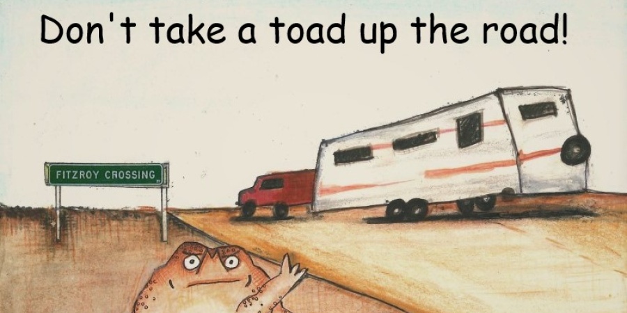 Dont take a toad up the road