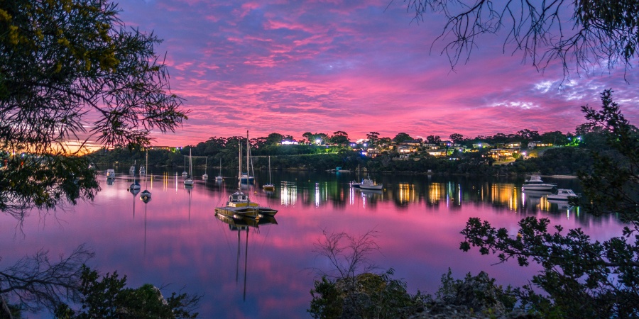 Scenic photo of moored vessels at sunset seen through a clearing of trees