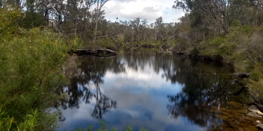 Walpole Nornalup National Park. Photo by Fiona Felton/DBCA