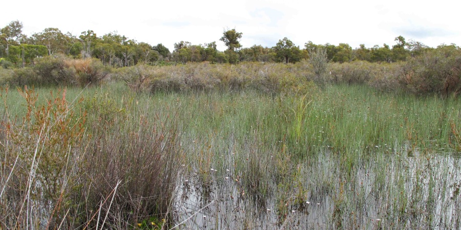 Drummond Nature Reserve. Photo - DBCA