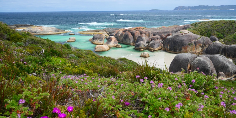 View across Elephant Rocks. Photo Bron Anderson/DBCA View across Elephant Rocks. Photo Bron Anderson/DBCA