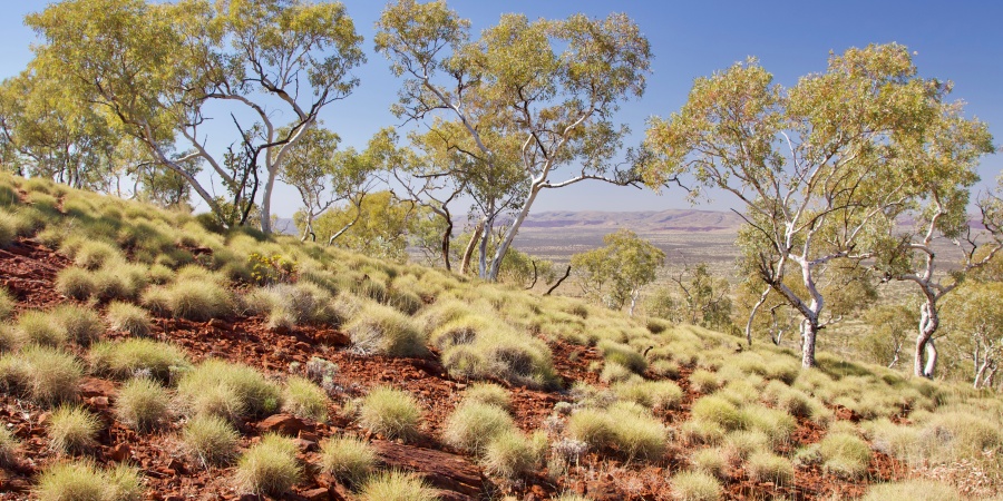 Karijini National Park. Photo – Judy Dunlop/DBCA Karijini National Park. Photo – Judy Dunlop/DBCA