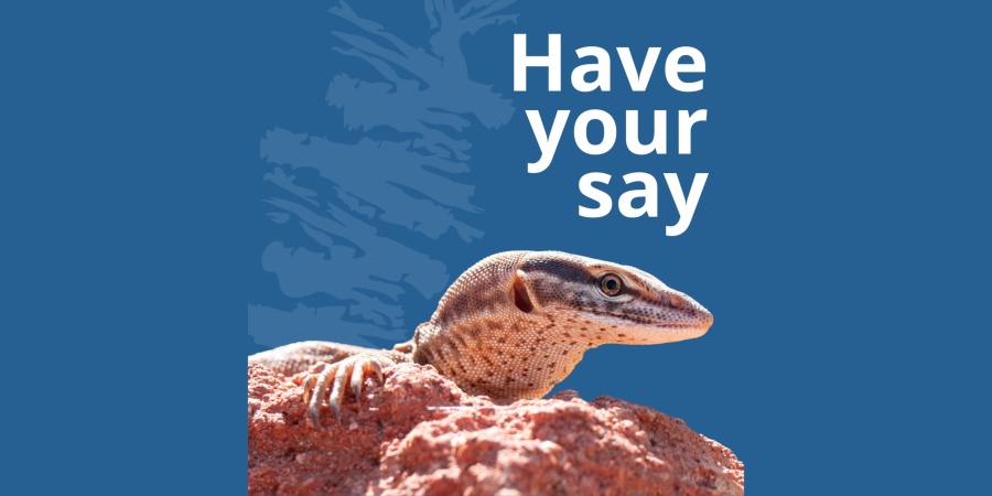 A lizard's head sticks out over a rock with a blue bacground and text that reads: Have your say