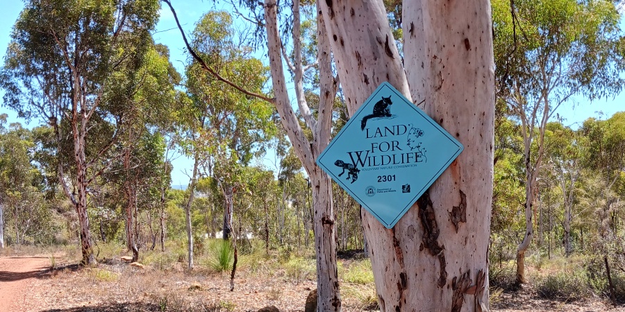 A blue Land for Wildlife sign on the trunk of a gum tree