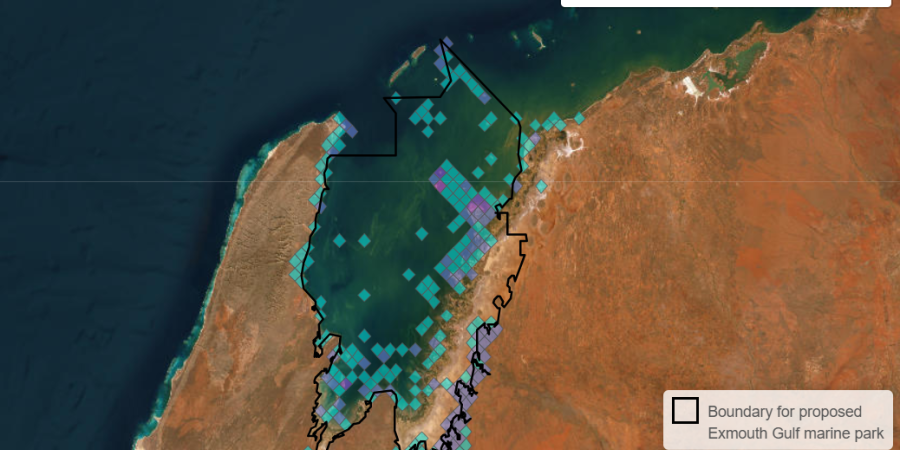 Marine values mapping survey for the proposed Exmouth Gulf Marine Park