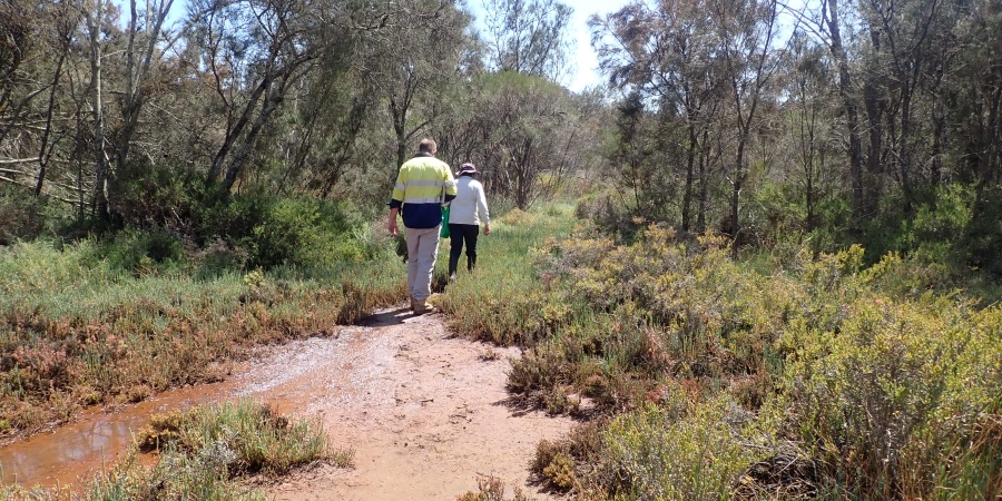 Site visit to Ferndale Flats, a Temperate Saltmarsh Threatened Ecological Community, funded under Round 6. Photo - DBCA