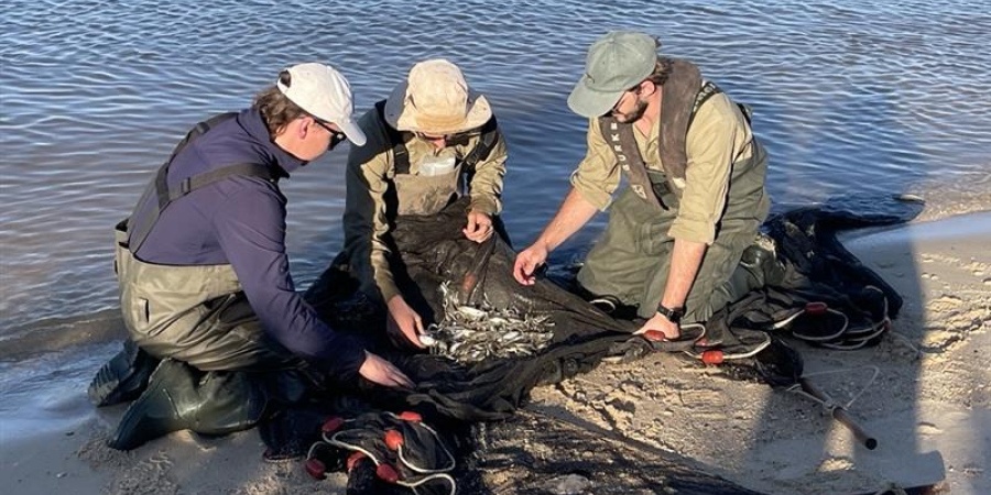 Scientists monitoring fish communities 