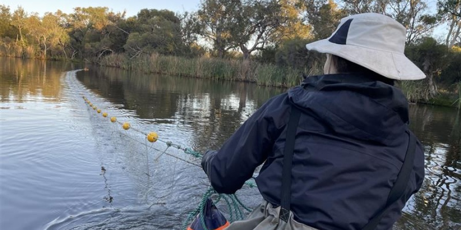Scientist holding a net in a river