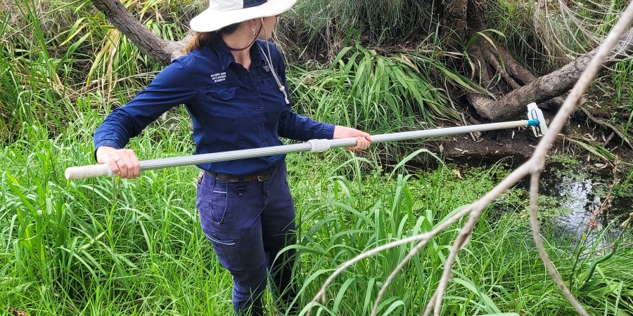 A scientist collecting a water sample from a creek