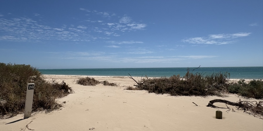 A campsite marker can be seen on a beach with some scrub and a blue sky behind.