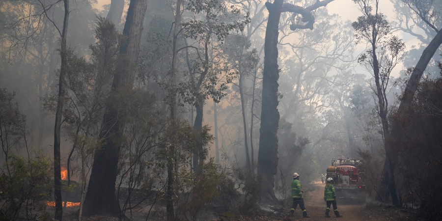 Parks and Wildlife Service staff carry out a prescribed burn.