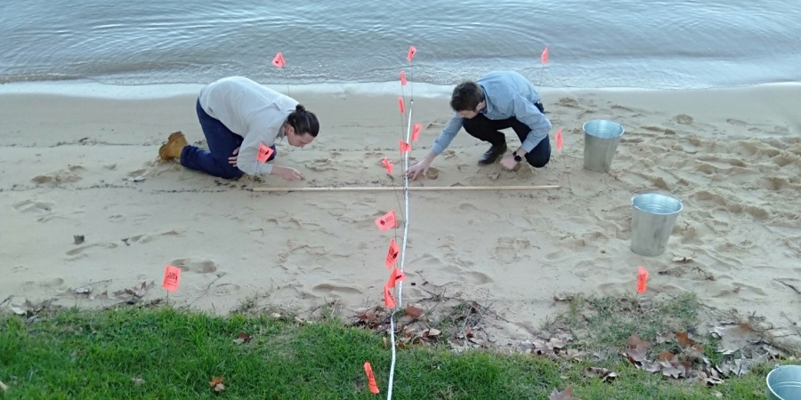 Two scientists examining a sandy area of a beach for plastic contamination