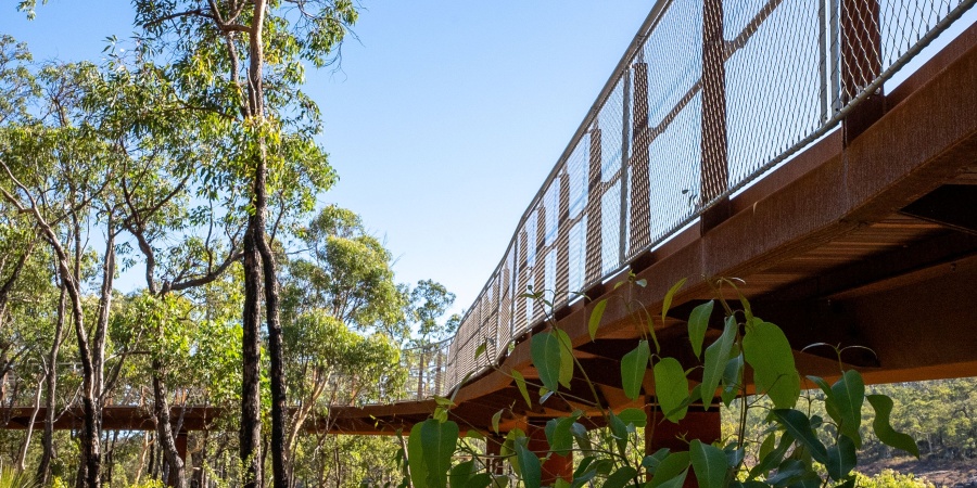 Rust-coloured elevated walkway with mesh fencing, raised above native bushland.