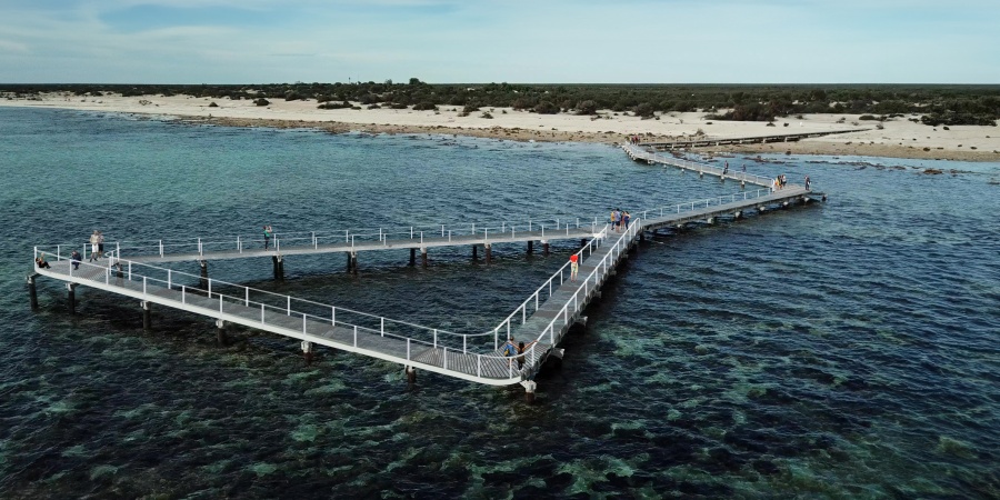 Artist impression of the new visitor boardwalk at Hamelin Pool