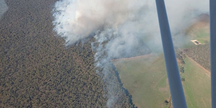 Aerial view of a prescribed burn in a forest landscape, with a large plume of white-grey smoke rising above the tree canopy. Adjacent farmland and tracks are visible alongside the forest edge. Part of the aircraft used to capture the image can be seen in the foreground.
