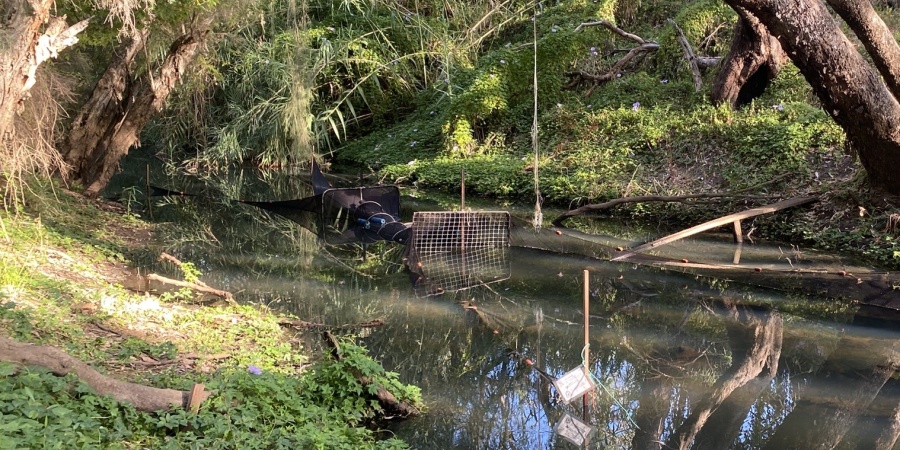 A fyke net in a river