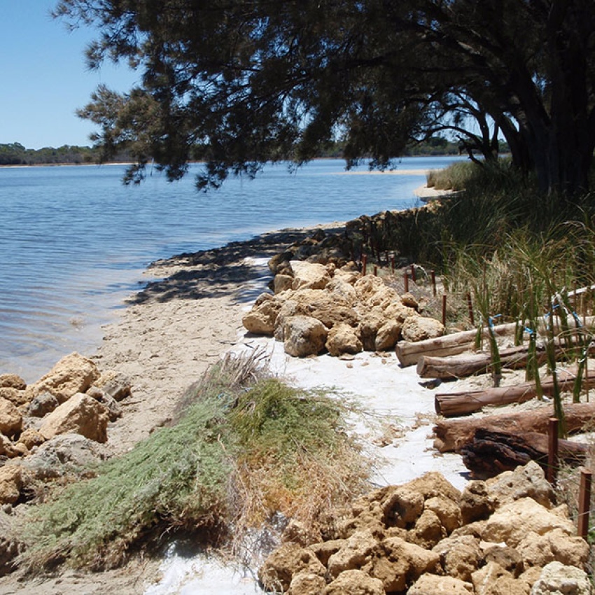 An image of a Riverbank-funded foreshore protection project in the Swan Canning Riverpark