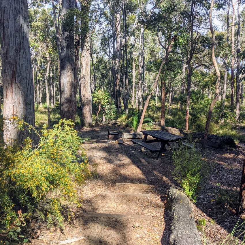 Barrabup-campground-st-johns-brook-conservation-park-