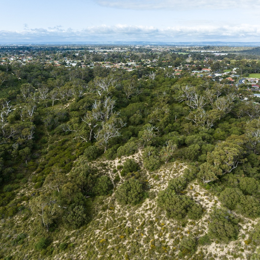 A drone photo of native bushland with residential housing in teh background.