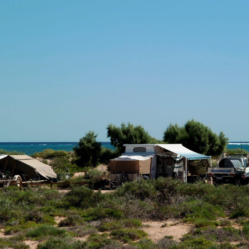 Camping site by the beach with several tents, vehicles, and lush greenery under a clear blue sky.