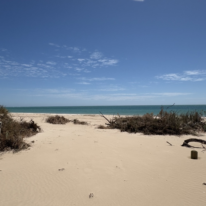 A campsite marker can be seen on a beach with some scrub and a blue sky behind.