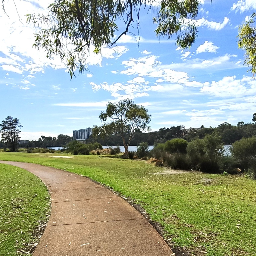 Curving paved walking path through green parkland beside a river, with trees and shrubs along the foreshore, distant buildings across the water, and a bright blue sky with scattered clouds overhead.