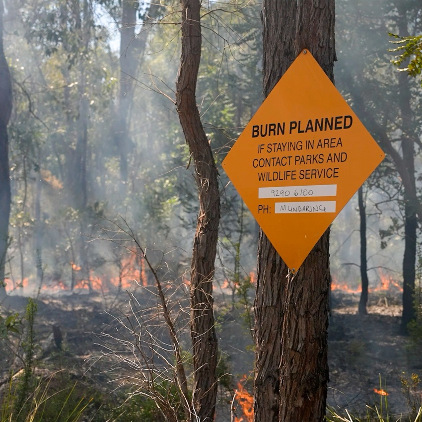 The prescribed burns are being undertaken 30-50 kilometres east of the Perth metro area to reduce fuels loads and protect homes and communities from the threat of large-scale and high intensity bushfires in summer. Photo: DBCA