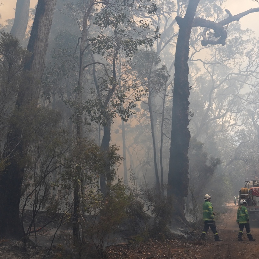 Parks and Wildlife Service staff carry out a prescribed burn.