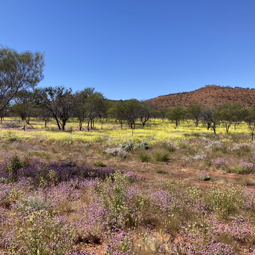 Have your say on the Yinggarda Conservation Estate joint management plan 