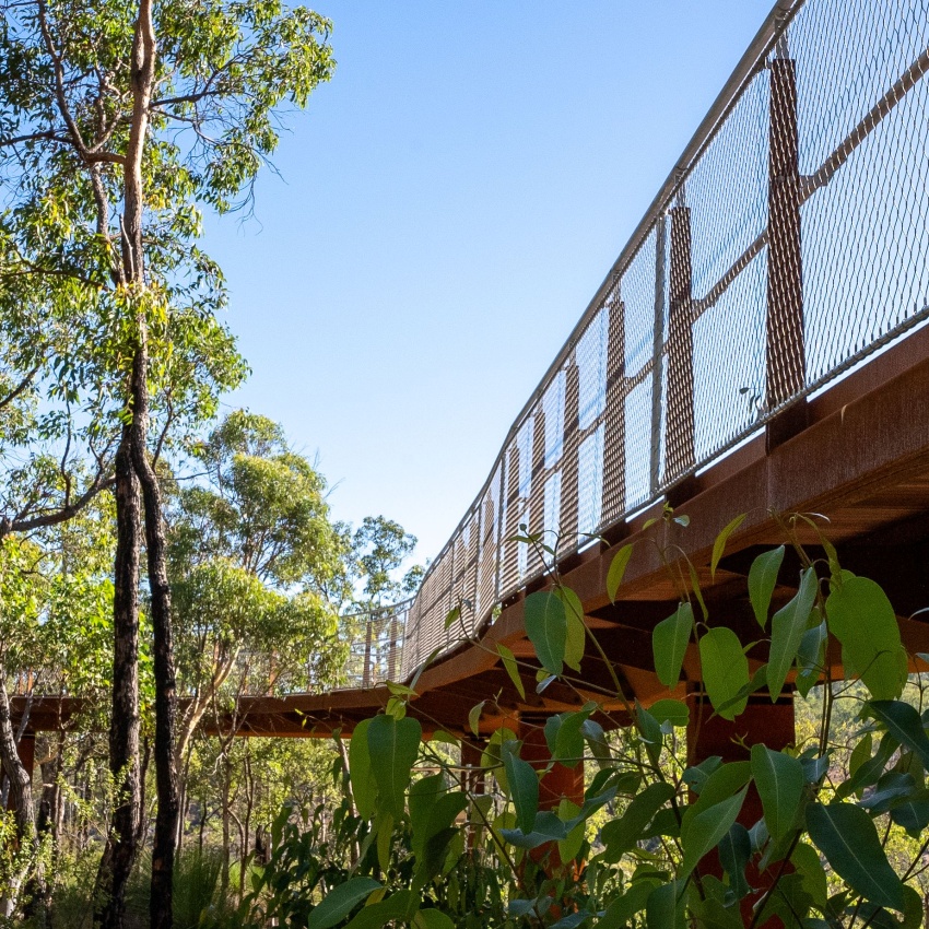 Rust-coloured elevated walkway with mesh fencing, raised above native bushland.
