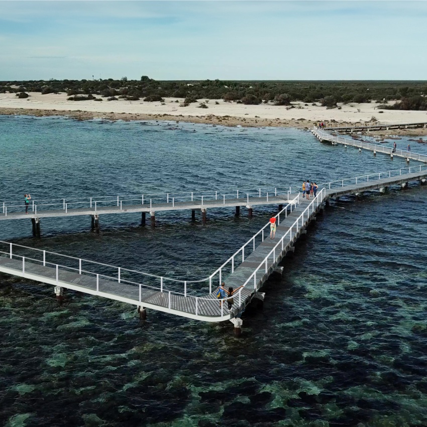 Artist impression of the new visitor boardwalk at Hamelin Pool