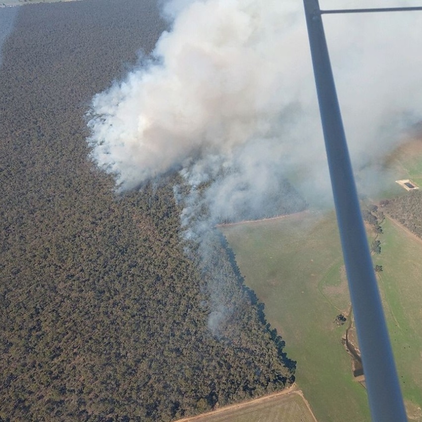 Aerial view of a prescribed burn in a forest landscape, with a large plume of white-grey smoke rising above the tree canopy. Adjacent farmland and tracks are visible alongside the forest edge. Part of the aircraft used to capture the image can be seen in the foreground.