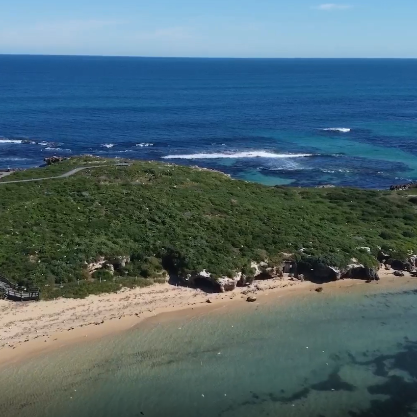 Birds eye view of Penguin Island