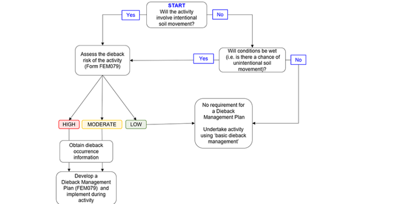 Decision tree for the department's process to assess and mitigate the dieback risk of a disturbance activity. Image - E. O'Gara DBCA