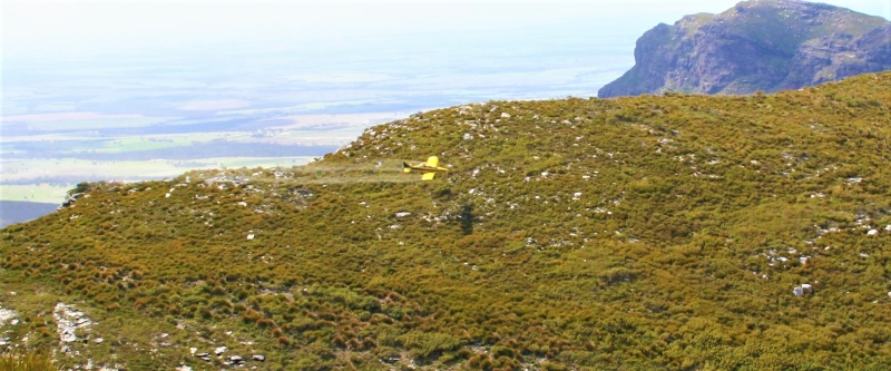 Phosphite being aerially applied to vegetation in the Stirling Range National Park. Photo by Sarah Barrett DBCA