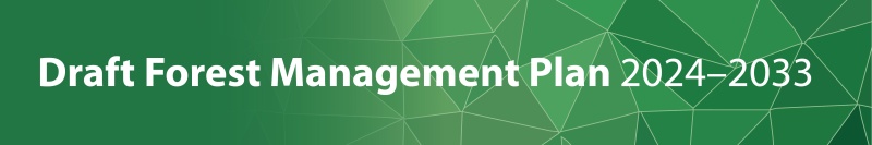 Draft Forest Management Plan 2024-2033