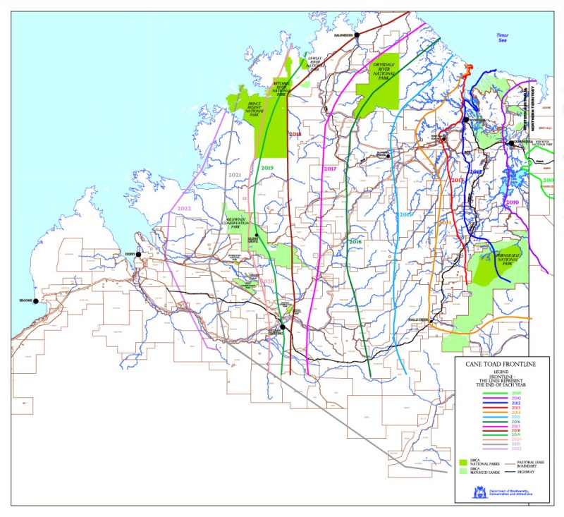 Cane toad management Department of Biodiversity, Conservation and