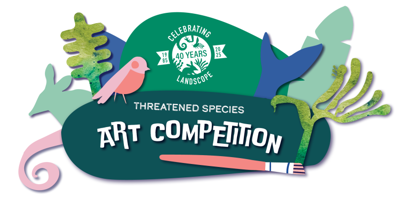 Bush Rangers art comp web banner