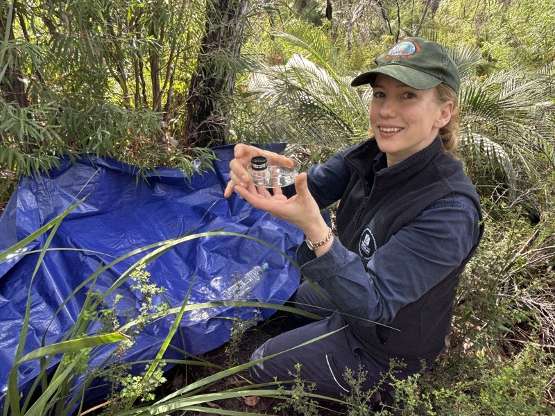 Person holding sample equipment in the forest