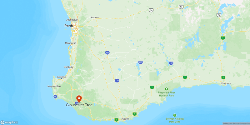 Gloucester Tree location