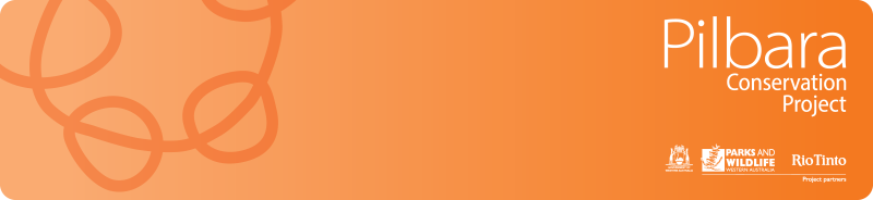Pilbara Conservation Project webpage banner Pilbara Conservation Project webpage banner
