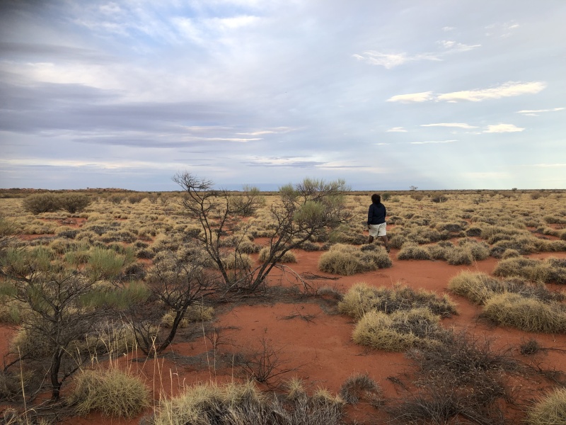 Someone walking off into the Australian bush