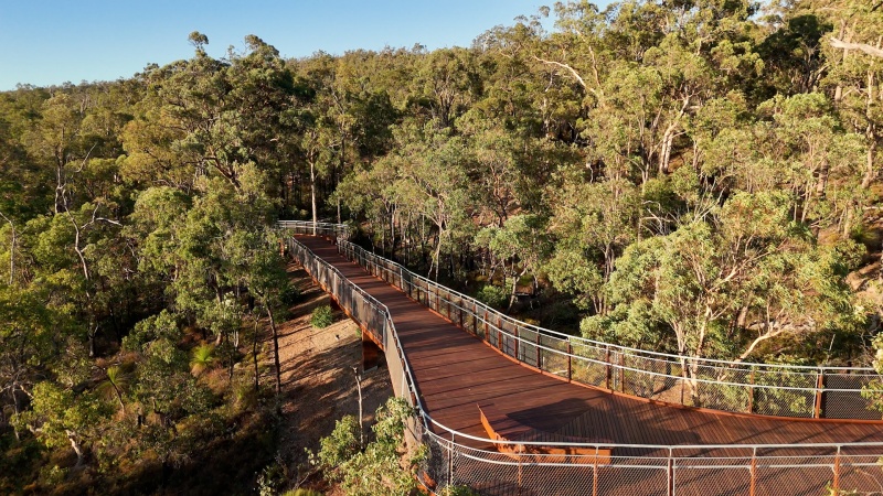Elevated timber walkway winding through dense eucalypt forest at John Forrest National Park, with metal railings and warm sunlight casting shadows across the surrounding bushland.