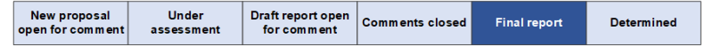 Final Report