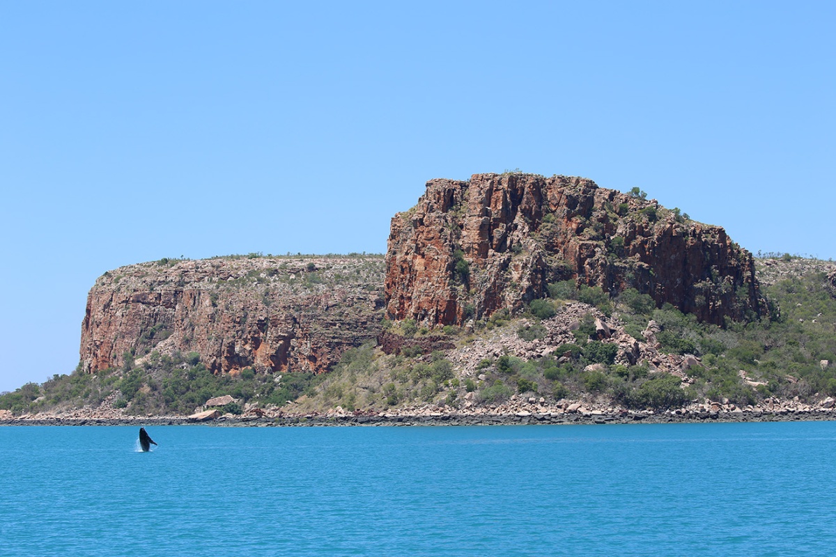 Ngumbree (Raft Point). Photo by Ellen D’Cruz/DBCA