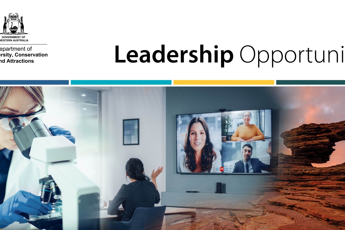 Leadership Opportunity