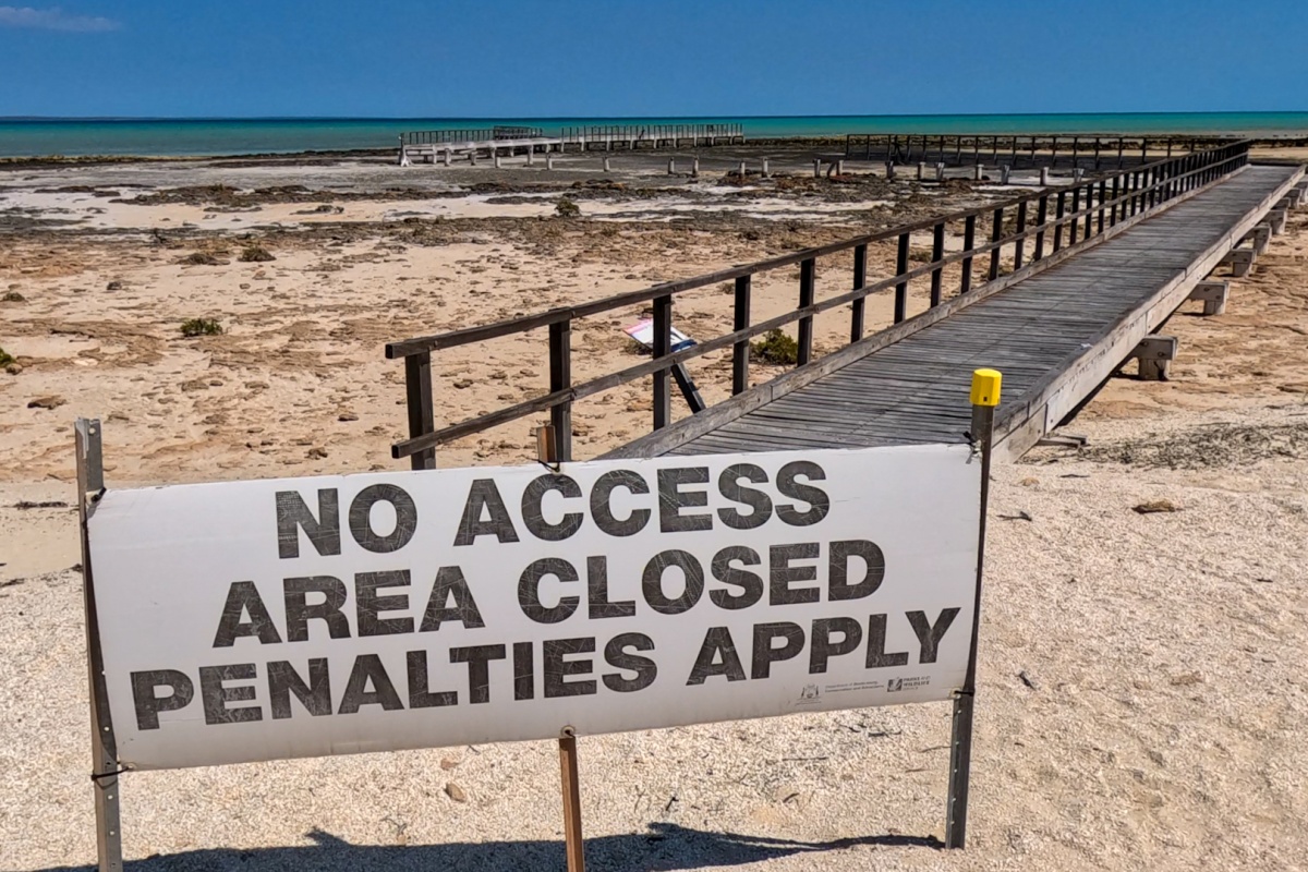 Hamelin Pool stromatolites